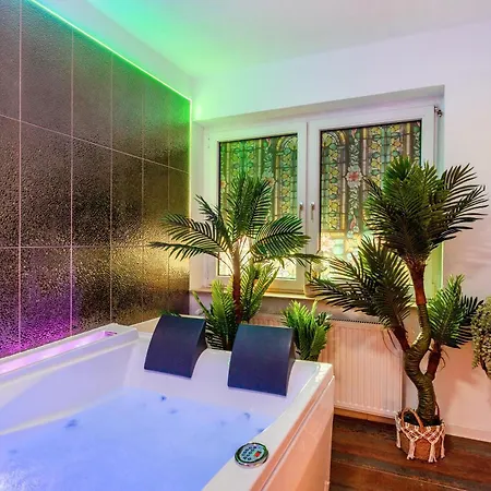 Vintage Mit Jacuzzi Und Sauna Apartment Essen